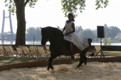 Especes d Espaces 15 * 5760 x 3840 * (6.47MB)